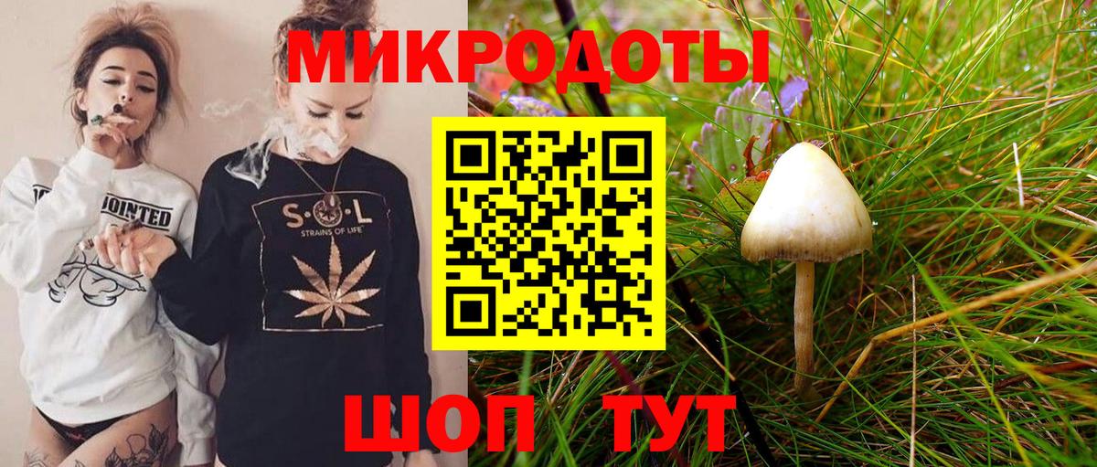 Псилоцибиновые грибы Cubensis Нягань